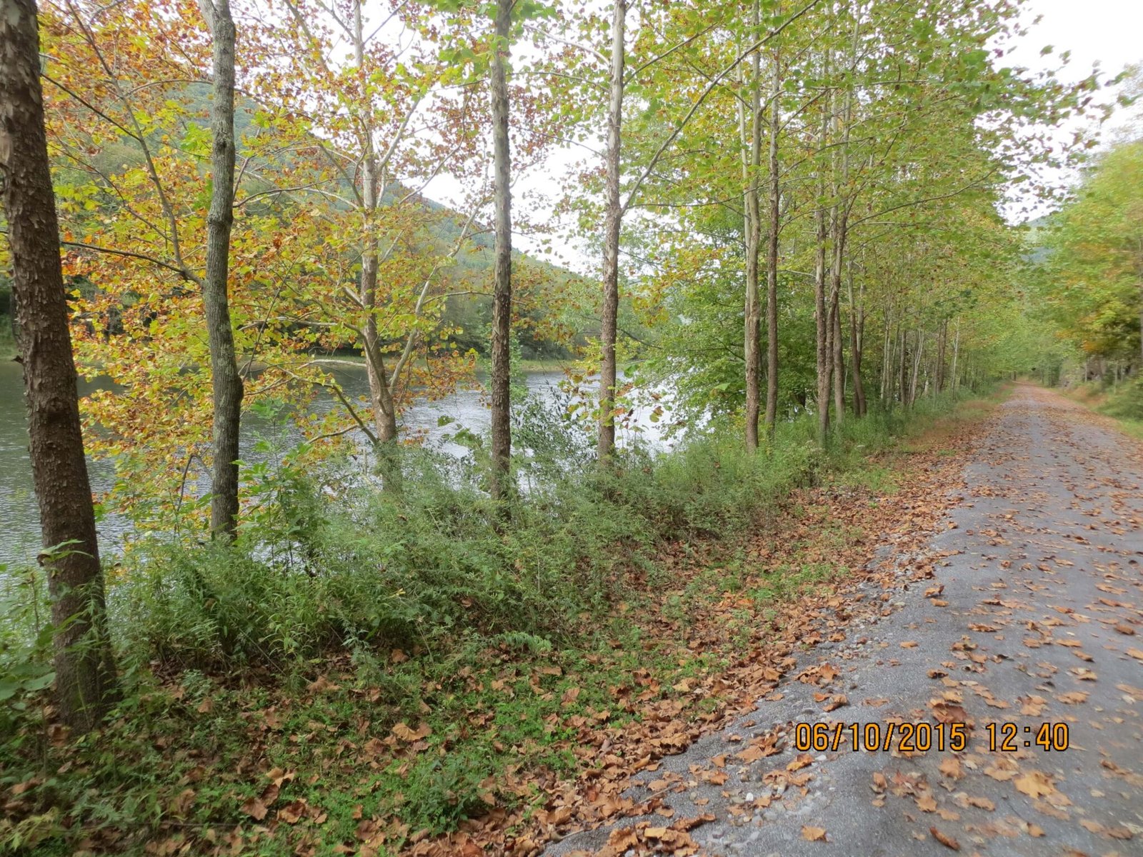 Pine Creek Gorge, PA – Watson Township, Pennsylvania – photo 2