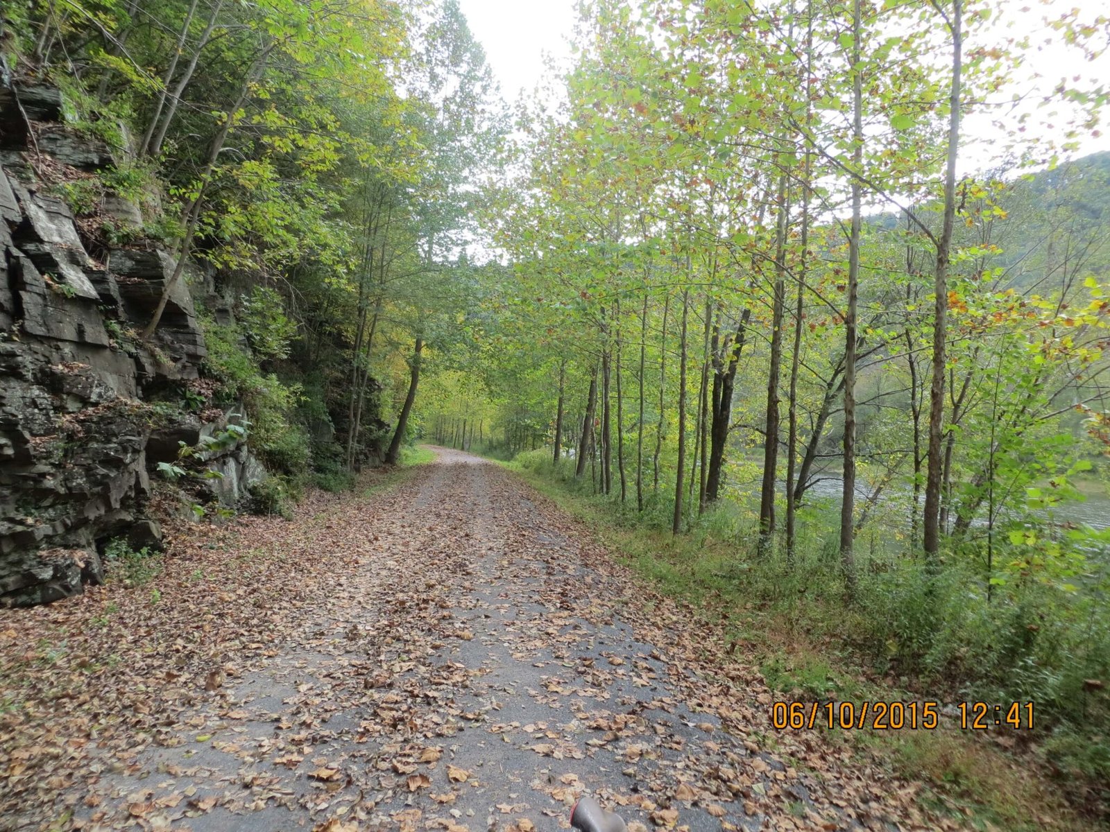 Pine Creek Gorge, PA – Watson Township, Pennsylvania – photo 3