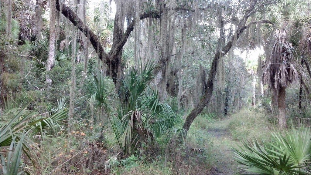 Alligator Creek Preserve, Punta Gorda, FL — photo 6