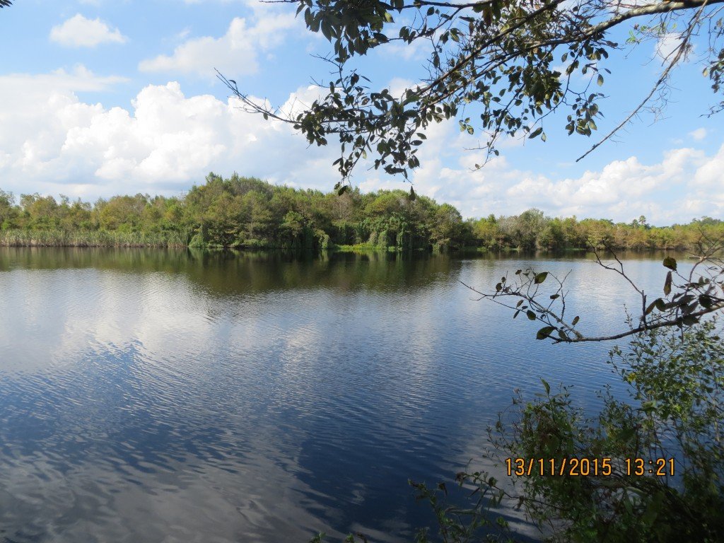 Six Mile Cypress Slough Preserve, Fort Myers, FL – Florida, United States – photo 2