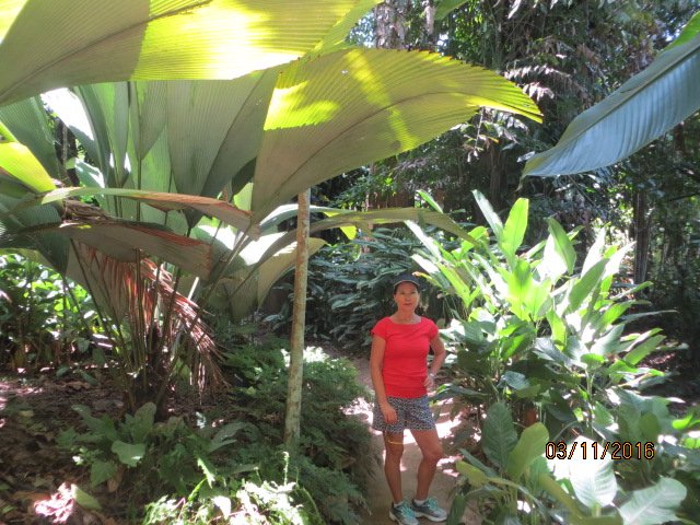 Cairns, Queensland Australia (Botanical Gardens) — photo 9