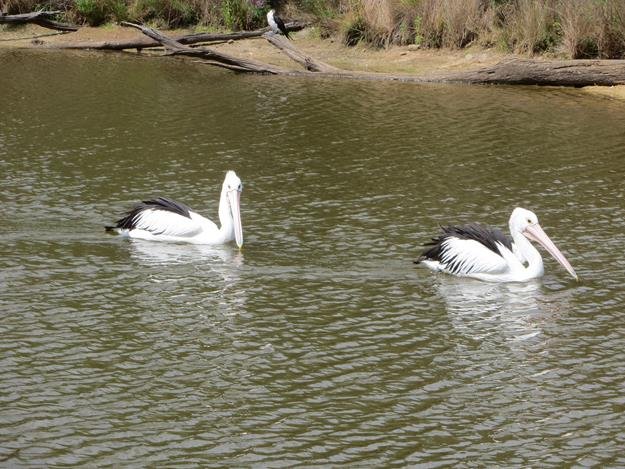 Canberra, Australia — photo 1