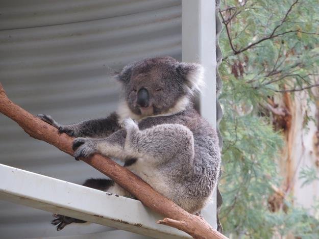 Canberra, Australia — photo 3