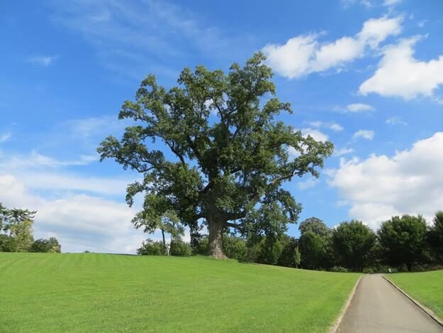 Maymont, Richmond, VA — photo 32