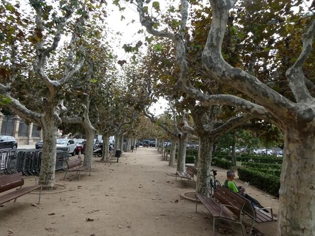 Ciutadella Park, Barcelona – Catalonia, Spain – photo 8