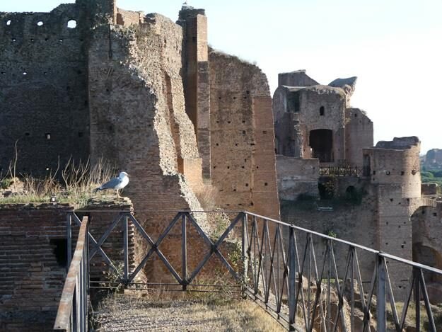 Palatine Hill, Rome, Italy – Lazio – photo 25
