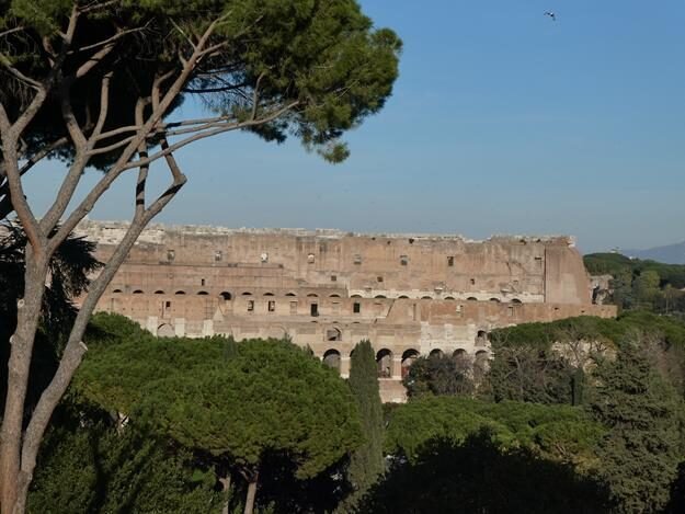 Palatine Hill, Rome, Italy – Lazio – photo 15