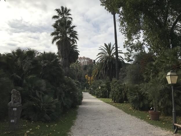 Trastevere to Gianicolo (Walking Tour) – Rome, Lazio – photo 11