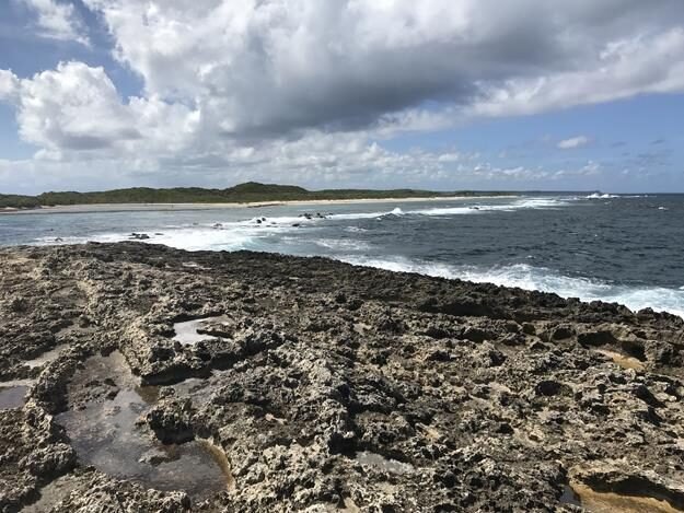 Pointe des Chateaux, Guadeloupe — photo 5