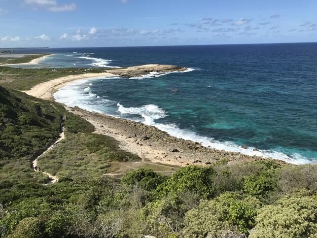 Pointe des Chateaux, Guadeloupe — photo 7