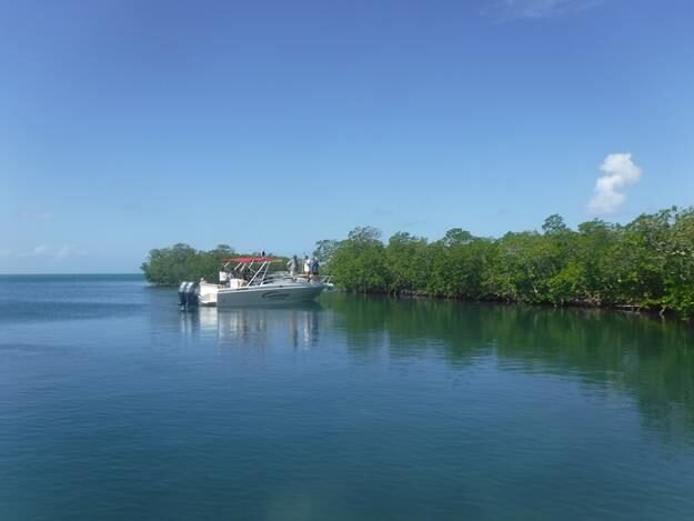 Snorkeling and sightseeing excursion – Sainte Rose — photo 2