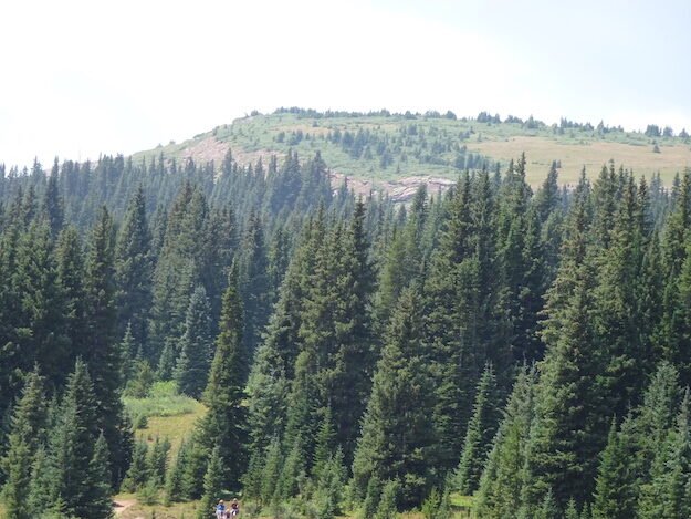 Shrine Ridge trail – Copper Mountain CO – Colorado, United States – photo 1