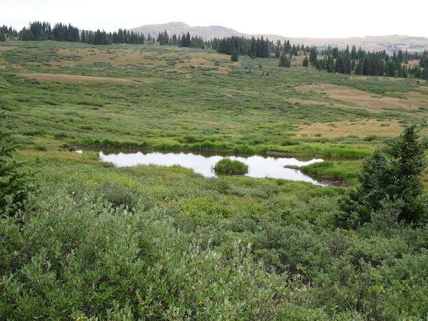 Shrine Ridge trail – Copper Mountain CO – Colorado, United States – photo 4