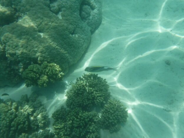 Exmouth, AU (Turquoise Bay) – Western Australia, Australia – photo 6