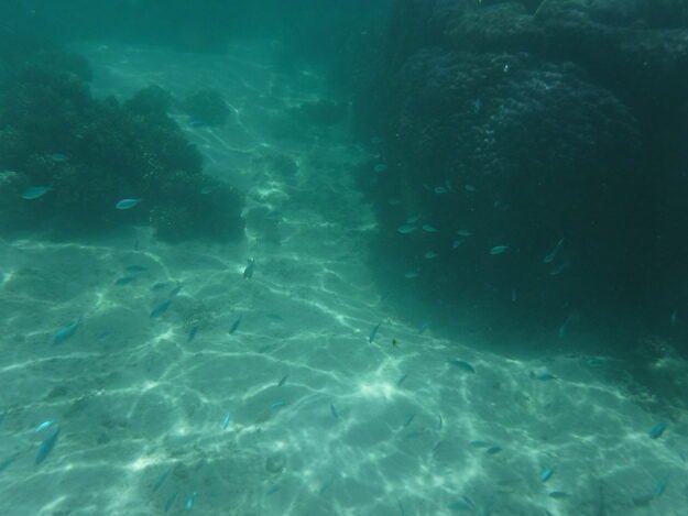 Exmouth, AU (Turquoise Bay) – Western Australia, Australia – photo 12