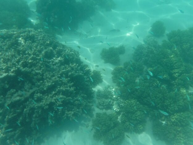 Exmouth, AU (Turquoise Bay) – Western Australia, Australia – photo 5