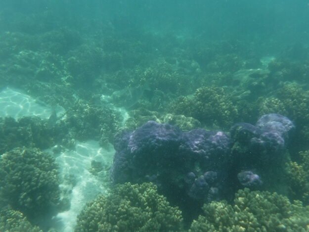 Exmouth, AU (Turquoise Bay) – Western Australia, Australia – photo 4