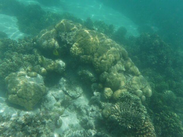 Exmouth, AU (Turquoise Bay) – Western Australia, Australia – photo 9