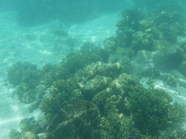 Exmouth, AU (Turquoise Bay) – Western Australia, Australia – photo 8