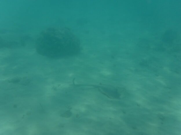 Exmouth, AU (Turquoise Bay) – Western Australia, Australia – photo 15