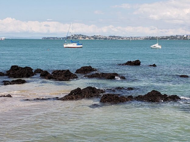 Devonport Village, NZ — photo 8