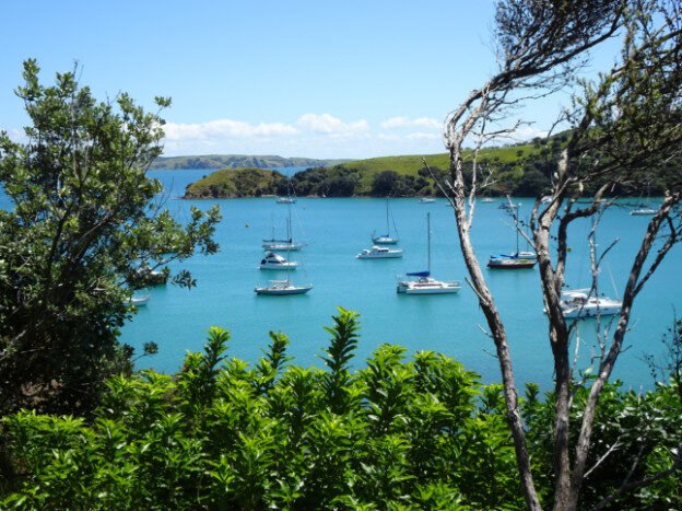 Waiheke Island, NZ – Auckland, New Zealand – photo 1