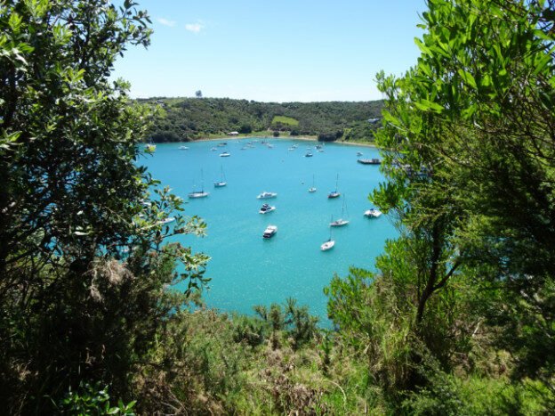 Waiheke Island, NZ – Auckland, New Zealand – photo 8