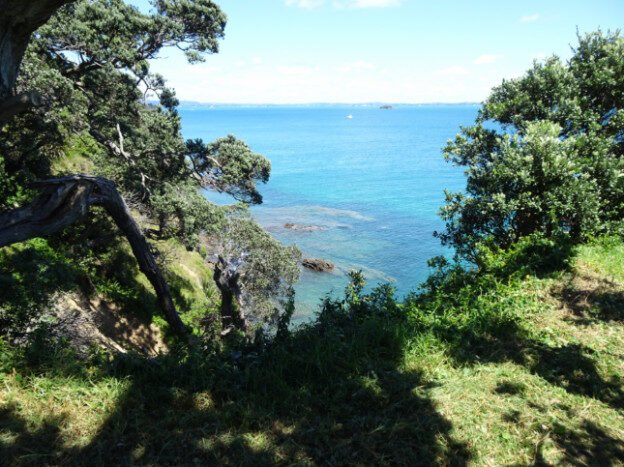 Waiheke Island, NZ – Auckland, New Zealand – photo 16