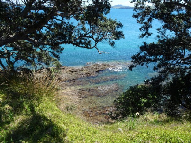Waiheke Island, NZ – Auckland, New Zealand – photo 14