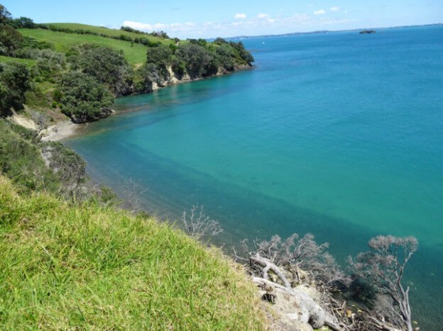 Waiheke Island, NZ – Auckland, New Zealand – photo 11