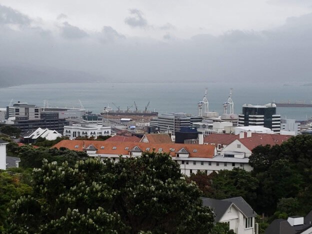 Wellington Parliament buildings and Wellington Botanical Gardens, Wellington, NZ — photo 11