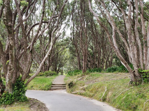 Wellington Parliament buildings and Wellington Botanical Gardens, Wellington, NZ — photo 13