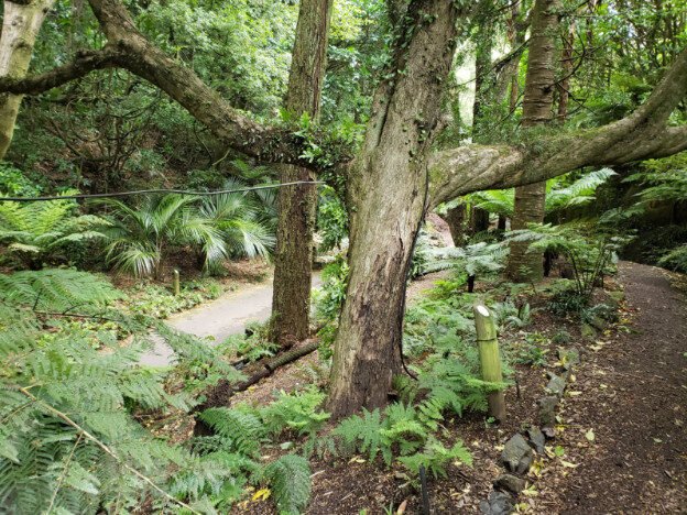 Wellington Parliament buildings and Wellington Botanical Gardens, Wellington, NZ — photo 3