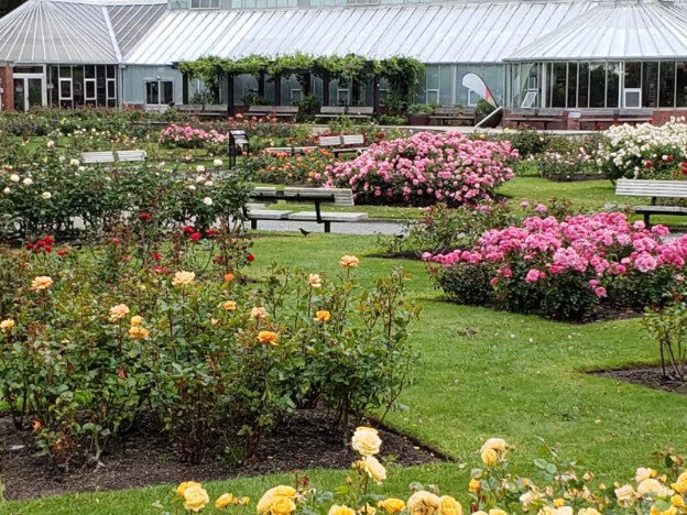 Wellington Parliament buildings and Wellington Botanical Gardens, Wellington, NZ — photo 5