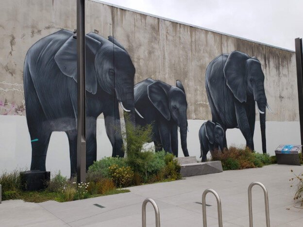 Street art – Christchurch, NZ – Linwood-Central-Heathcote Community, Canterbury – photo 8