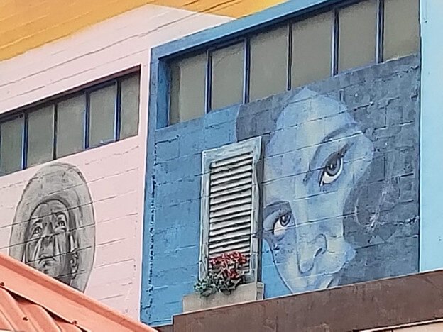 Street art – Christchurch, NZ – Linwood-Central-Heathcote Community, Canterbury – photo 9
