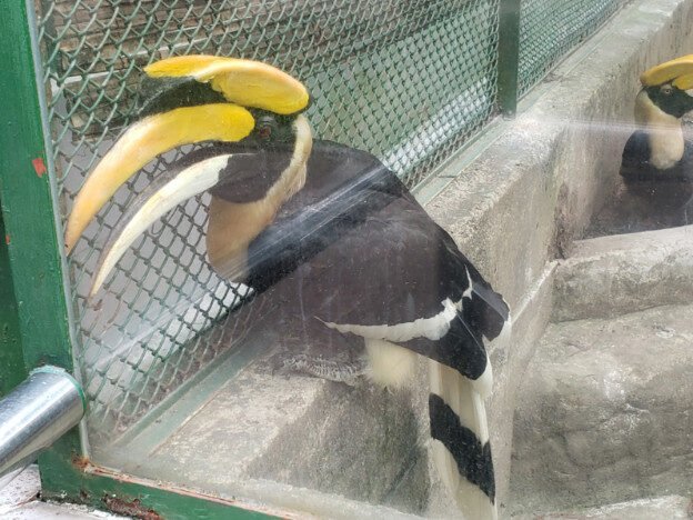 Saigon Zoo & Botanical Gardens, Vietnam — photo 14