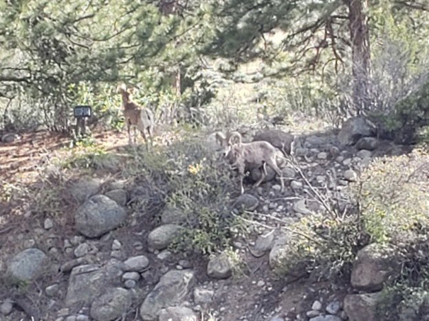 Keystone, CO — photo 6