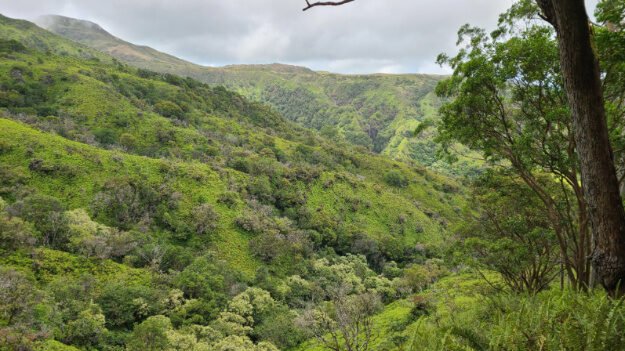 Waihee Ridge Trail, Wailuku, HI – Waiheʻe, Hawaii – photo 9