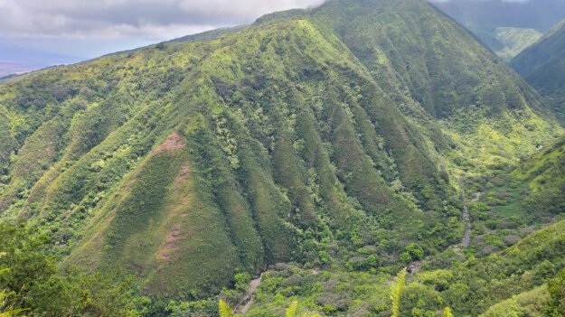 Waihee Ridge Trail, Wailuku, HI – Waiheʻe, Hawaii – photo 13