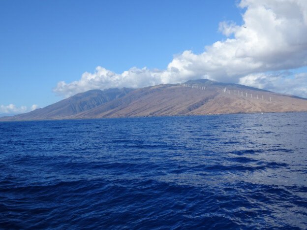 Whale Watching (trip 1) Maalaea Harbor, HI — photo 2