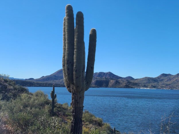 Saguaro Lake, AZ — photo 5