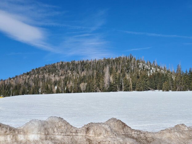 Dixie National Forest, Cedar City, UT — photo 3