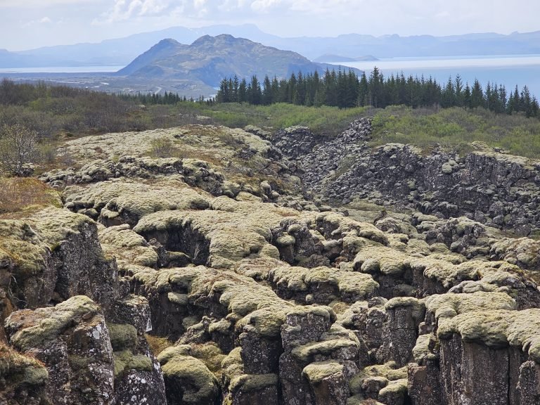 Golden Circle Tour, Iceland — photo 12