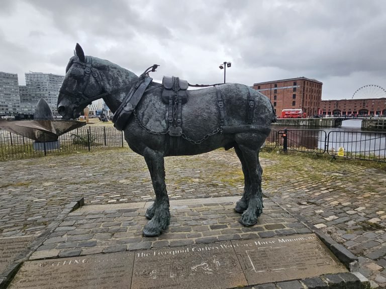 Liverpool, England – United Kingdom – photo 7