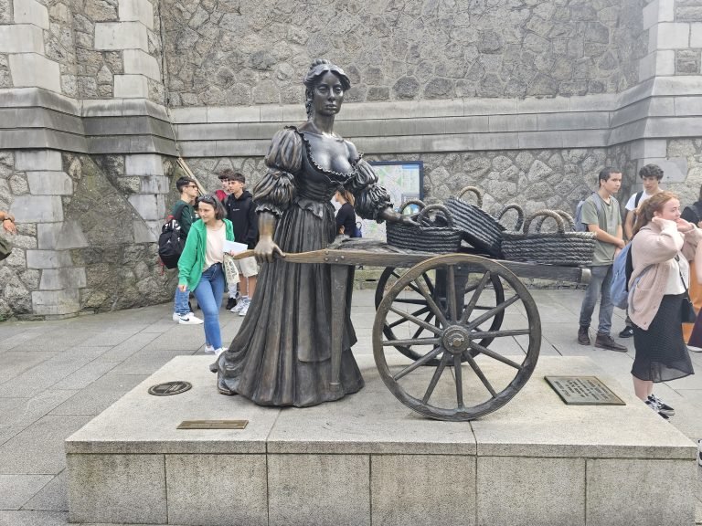 Dublin, Ireland – Leinster – photo 10