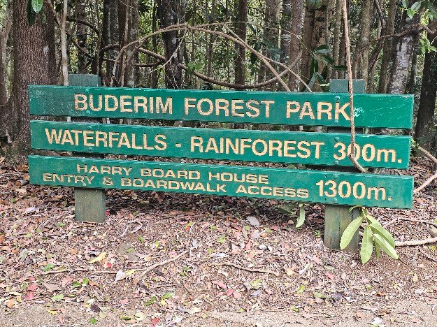 Buderim Forest Park, Buderim, AU