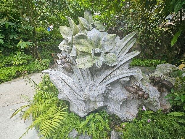 Singapore Botanic Gardens, Singapore — photo 2