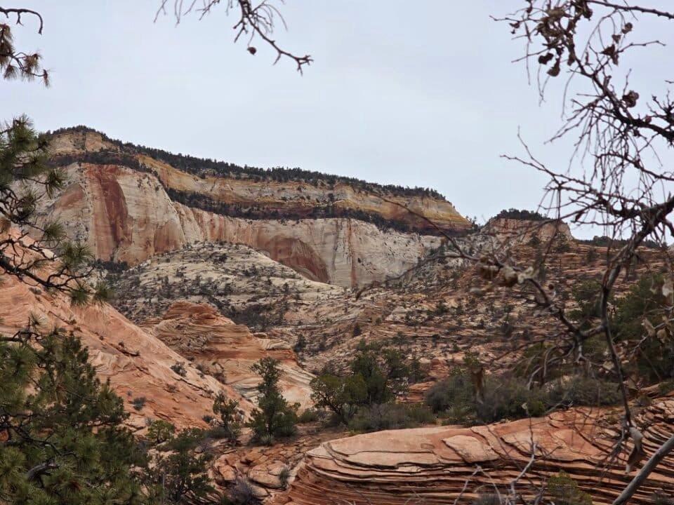 Zion National Park, Utah — photo 11