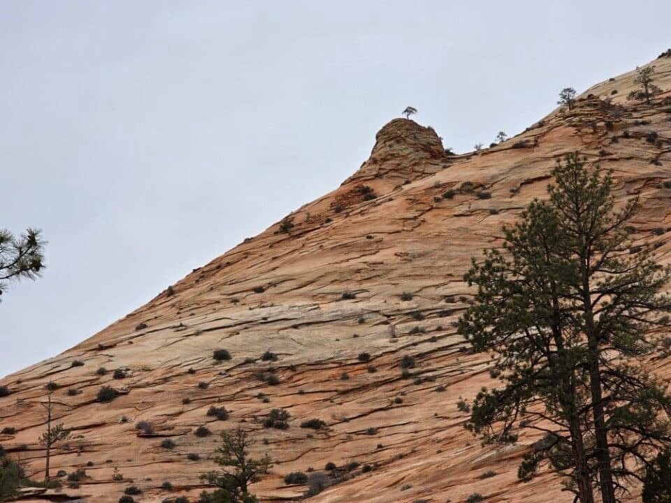 Zion National Park, Utah — photo 10